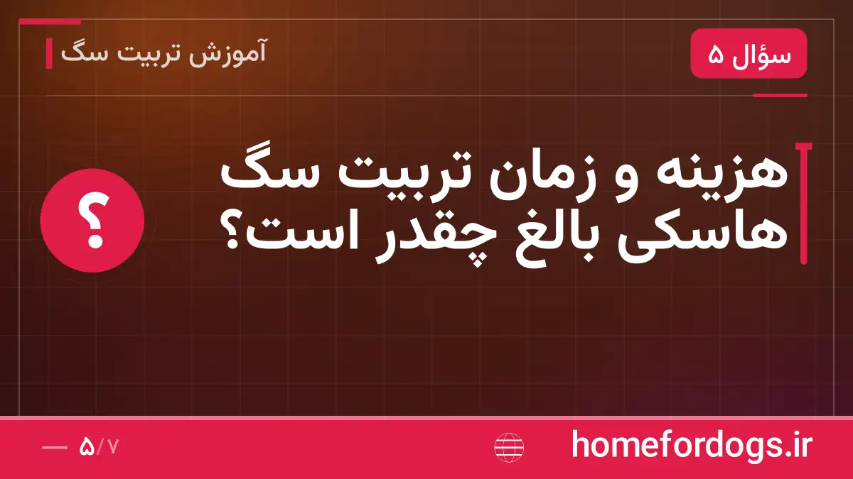 هزینه و زمان تربیت سگ هاسکی بالغ چقدر است؟