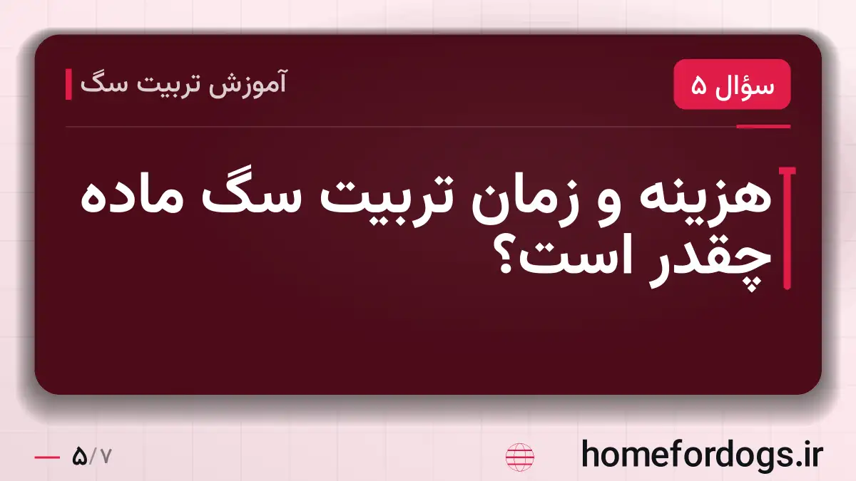 هزینه و زمان تربیت سگ ماده چقدر است؟