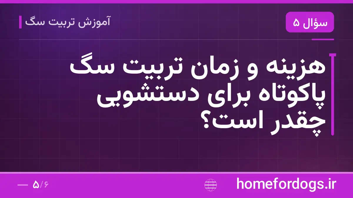 هزینه و زمان تربیت سگ پاکوتاه برای دستشویی چقدر است؟