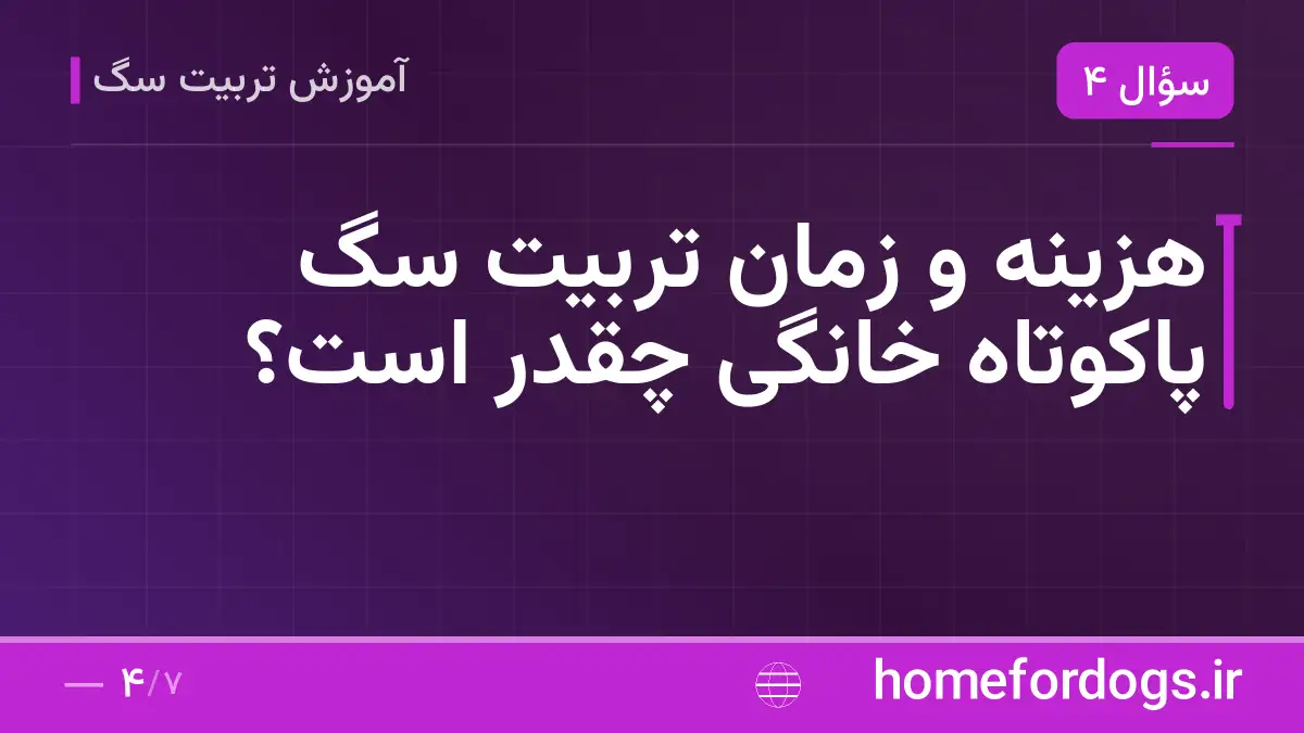 هزینه و زمان تربیت سگ پاکوتاه خانگی چقدر است؟