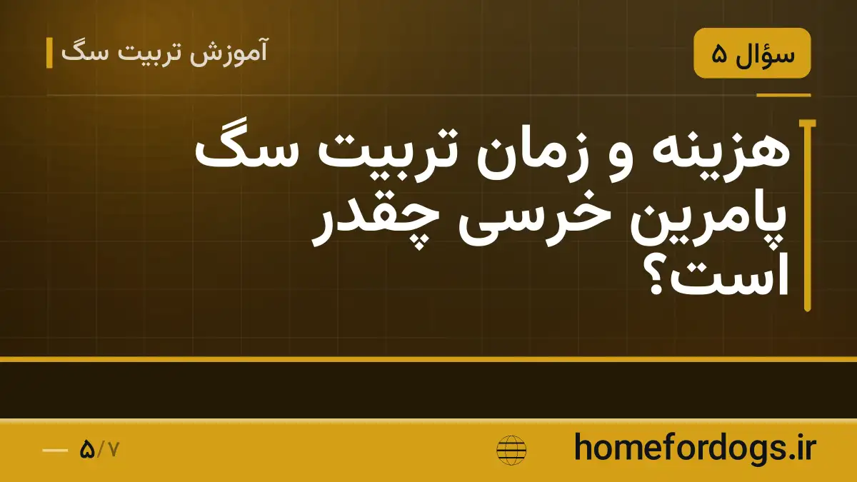 هزینه و زمان تربیت سگ پامرین خرسی چقدر است؟