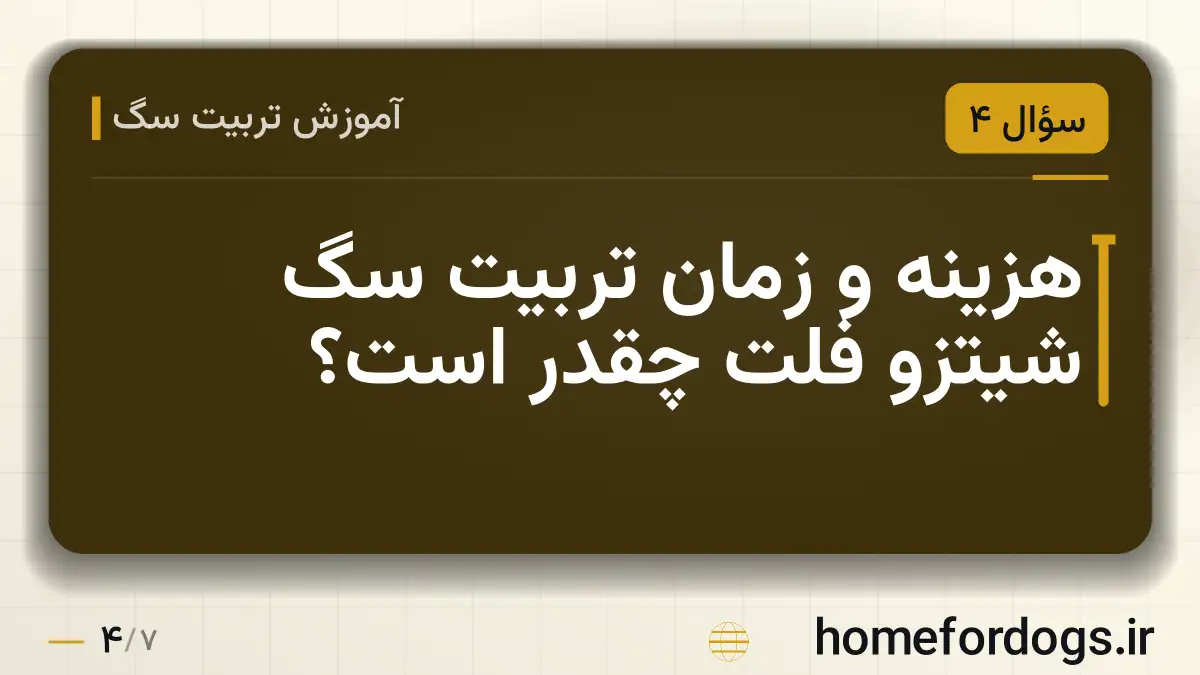هزینه و زمان تربیت سگ شیتزو فلت چقدر است؟