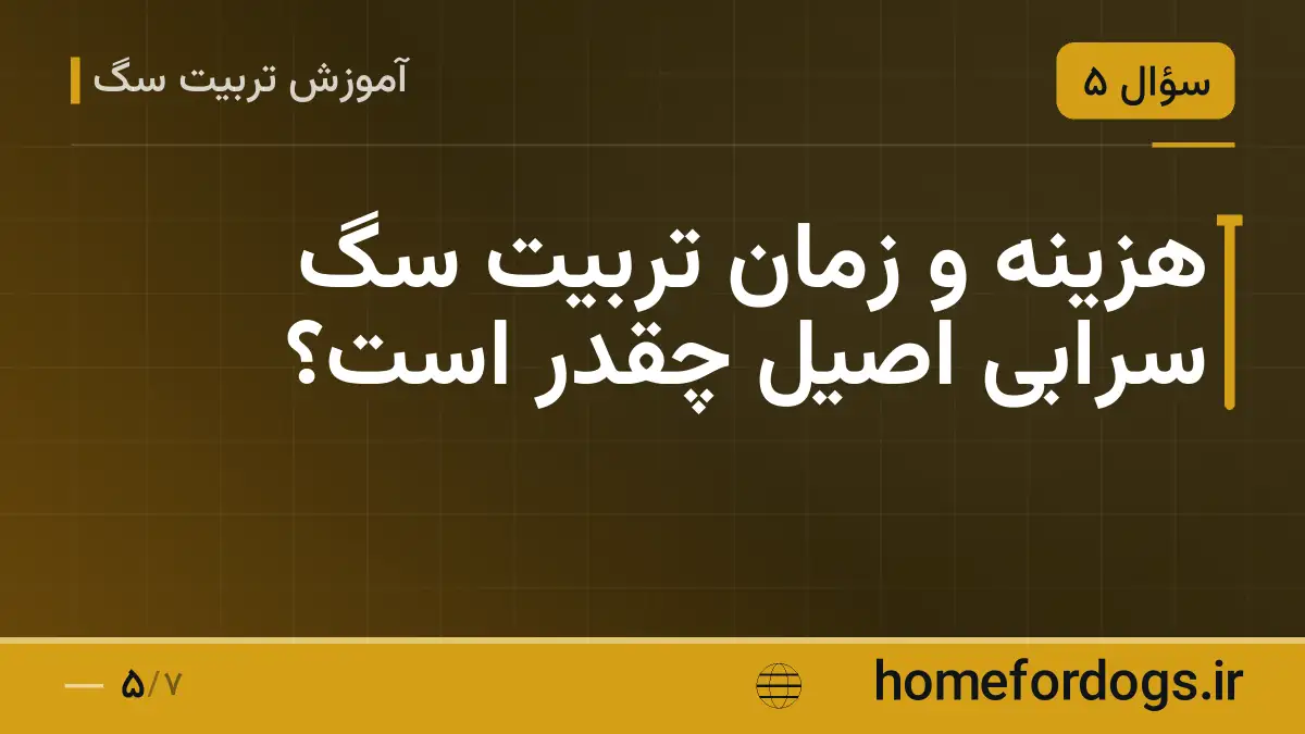 هزینه و زمان تربیت سگ سرابی اصیل چقدر است؟