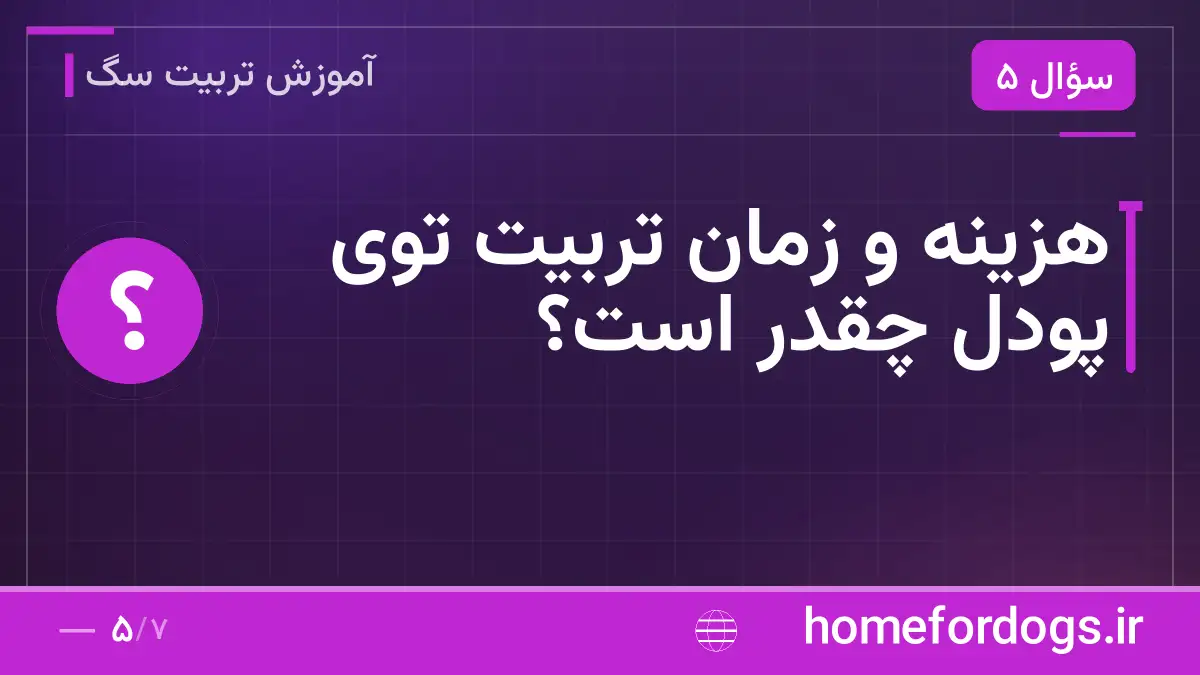 هزینه و زمان تربیت توی پودل چقدر است؟