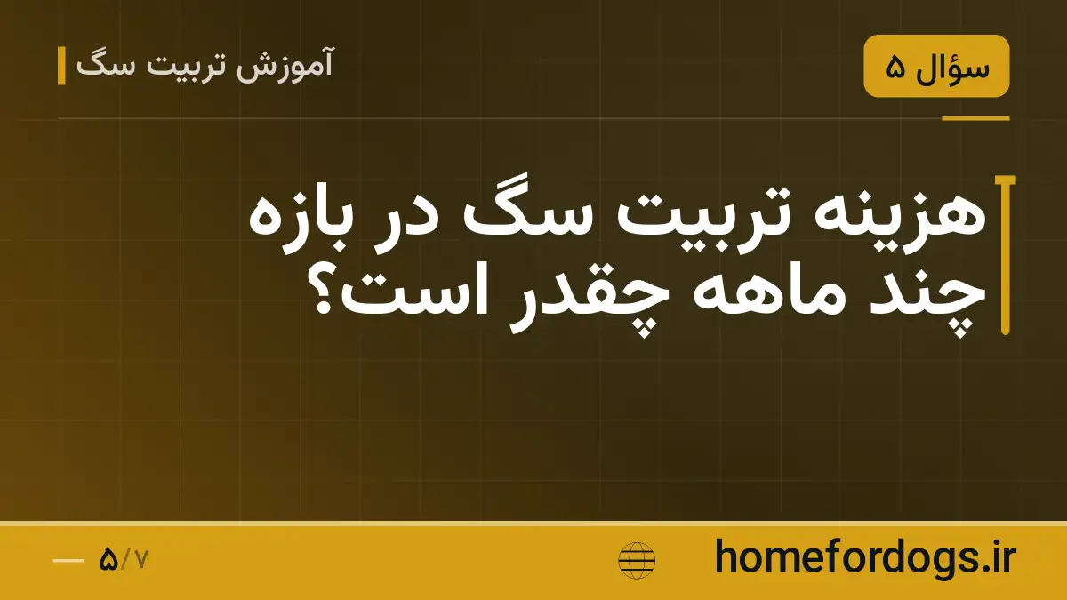 هزینه تربیت سگ در بازه چند ماهه چقدر است؟