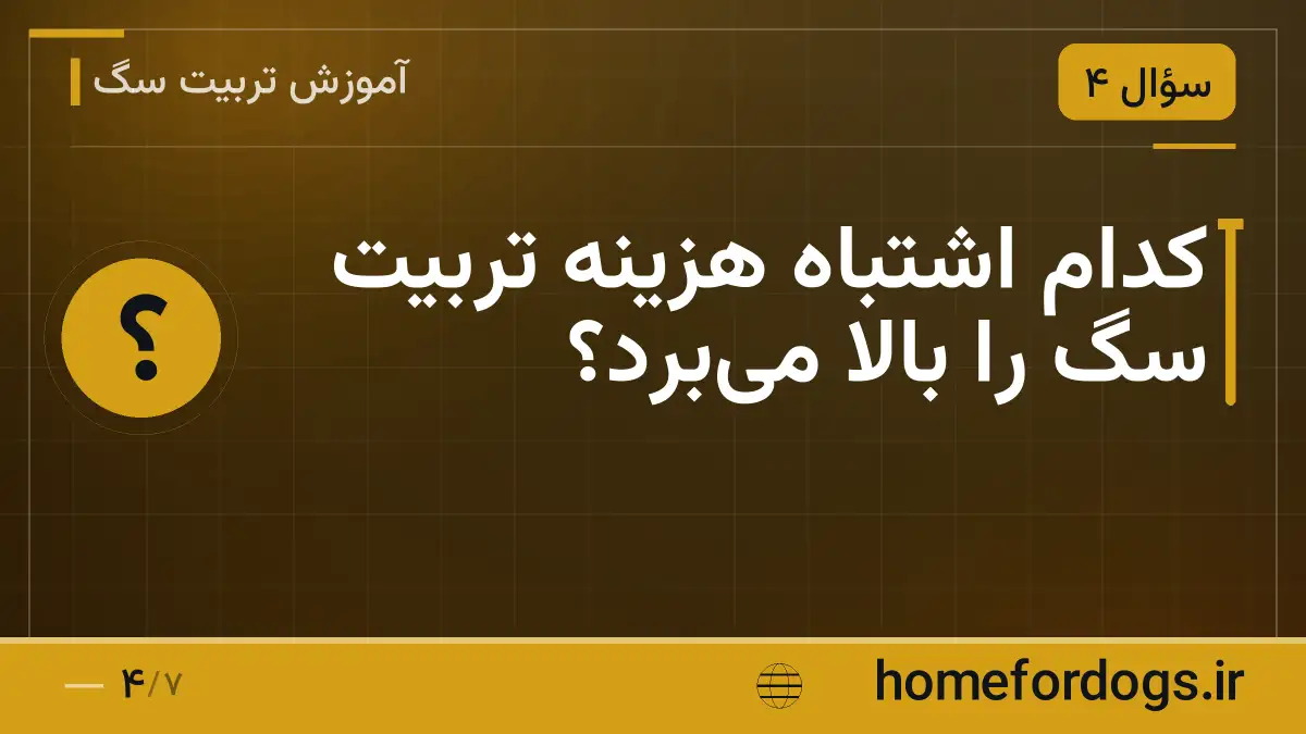 کدام اشتباه هزینه تربیت سگ را بالا می‌برد؟