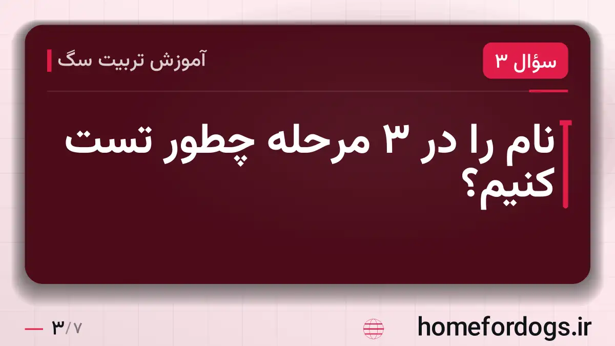 نام را در ۳ مرحله چطور تست کنیم؟