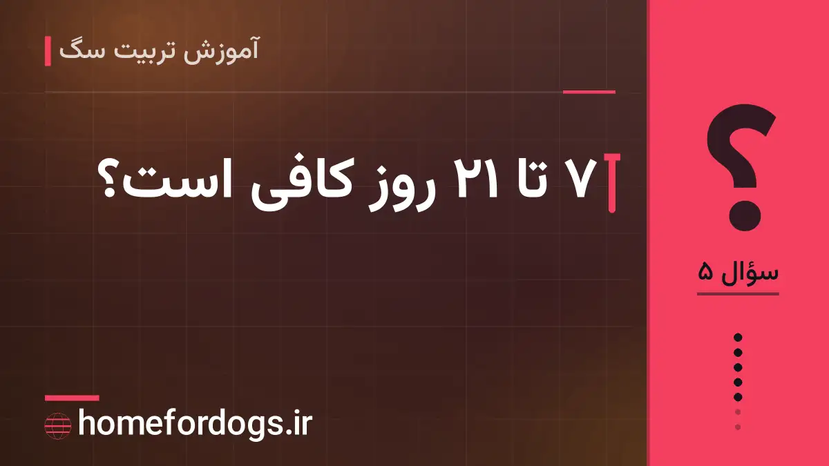 ۷ تا ۲۱ روز کافی است؟