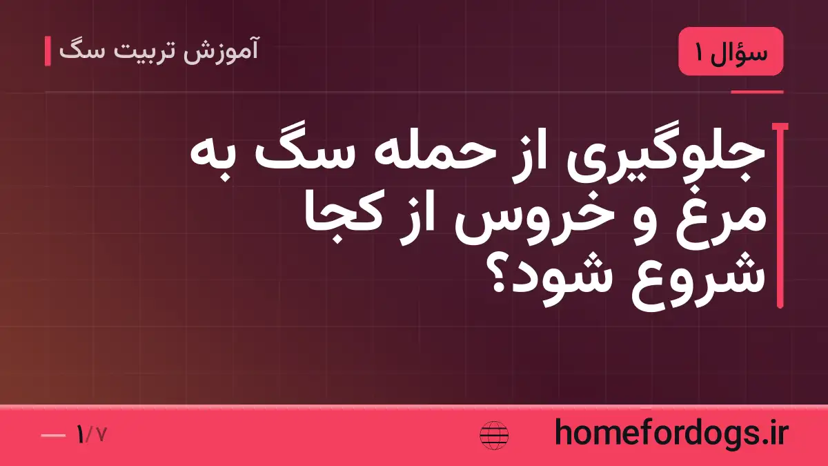 جلوگیری از حمله سگ به مرغ و خروس از کجا شروع شود؟