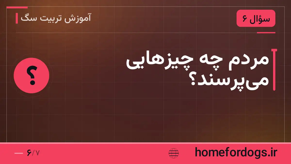 مردم چه چیزهایی میپرسند؟