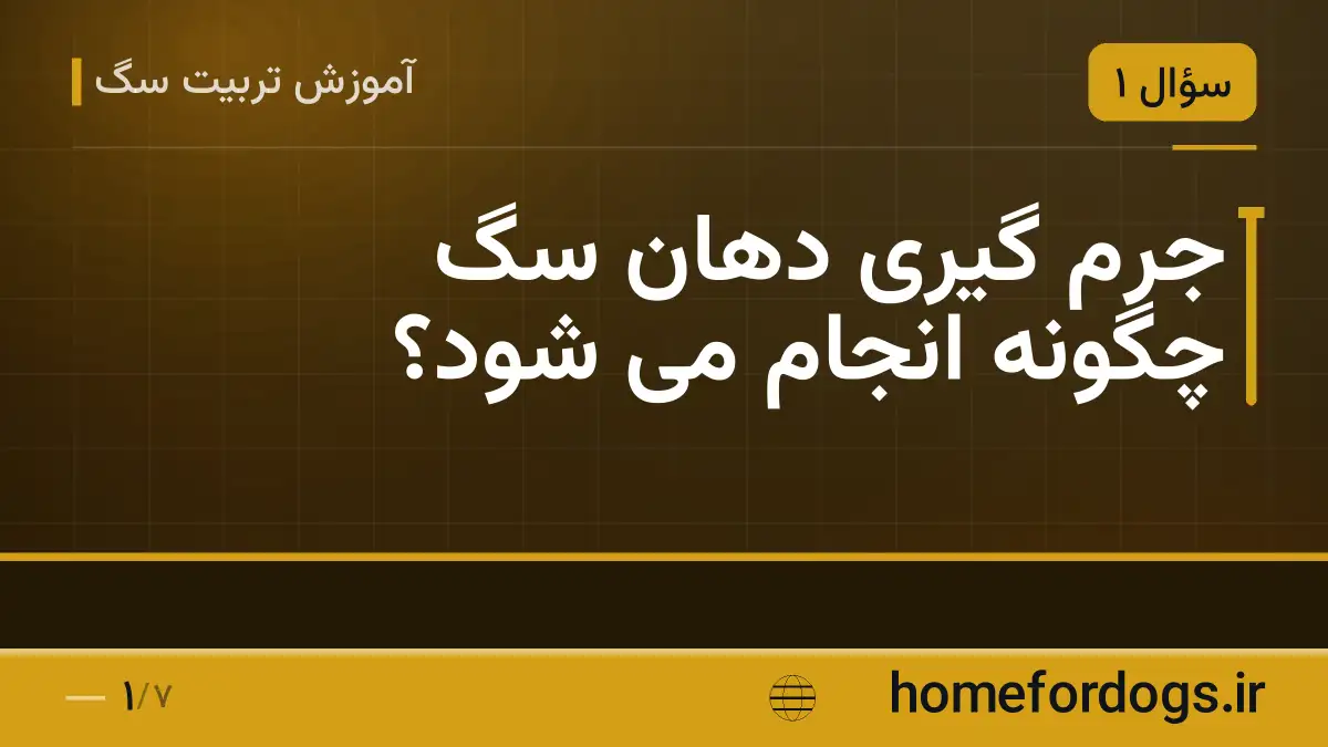 جرم گیری دهان سگ چگونه انجام می شود؟