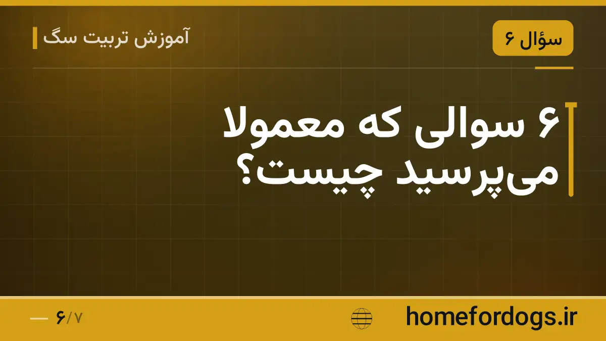 ۶ سوالی که معمولاً می‌پرسید چیست؟