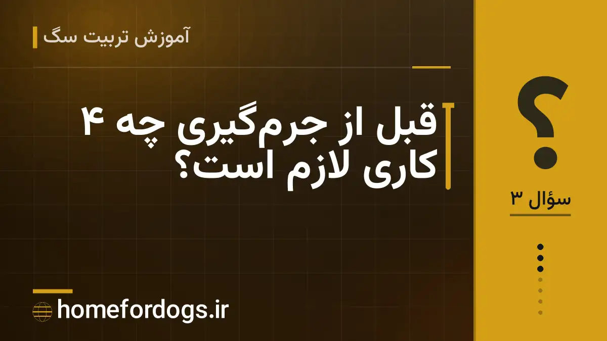 قبل از جرم‌گیری چه ۴ کاری لازم است؟