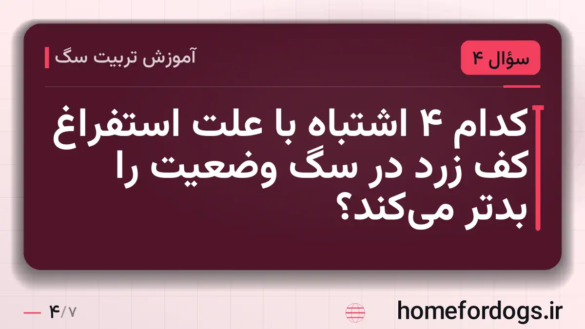 کدام ۴ اشتباه با علت استفراغ کف زرد در سگ وضعیت را بدتر می‌کند؟