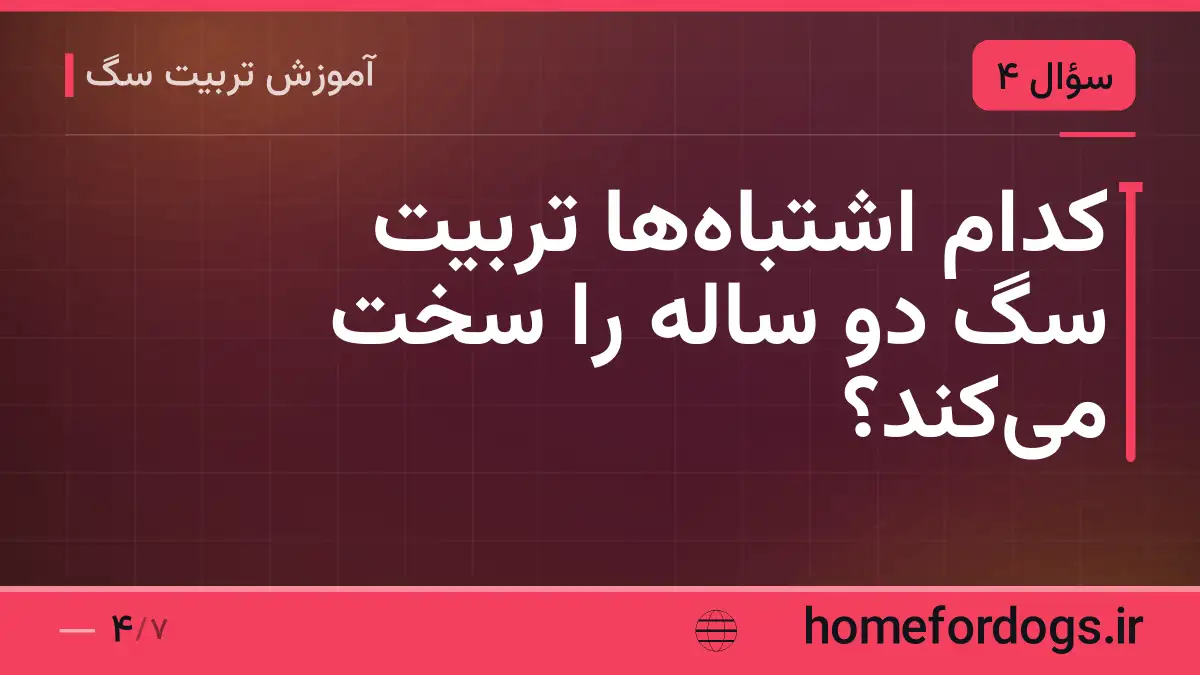 کدام اشتباهها تربیت سگ دو ساله را سخت میکند؟