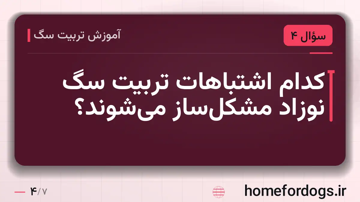 کدام اشتباهات تربیت سگ نوزاد مشکل‌ساز می‌شوند؟