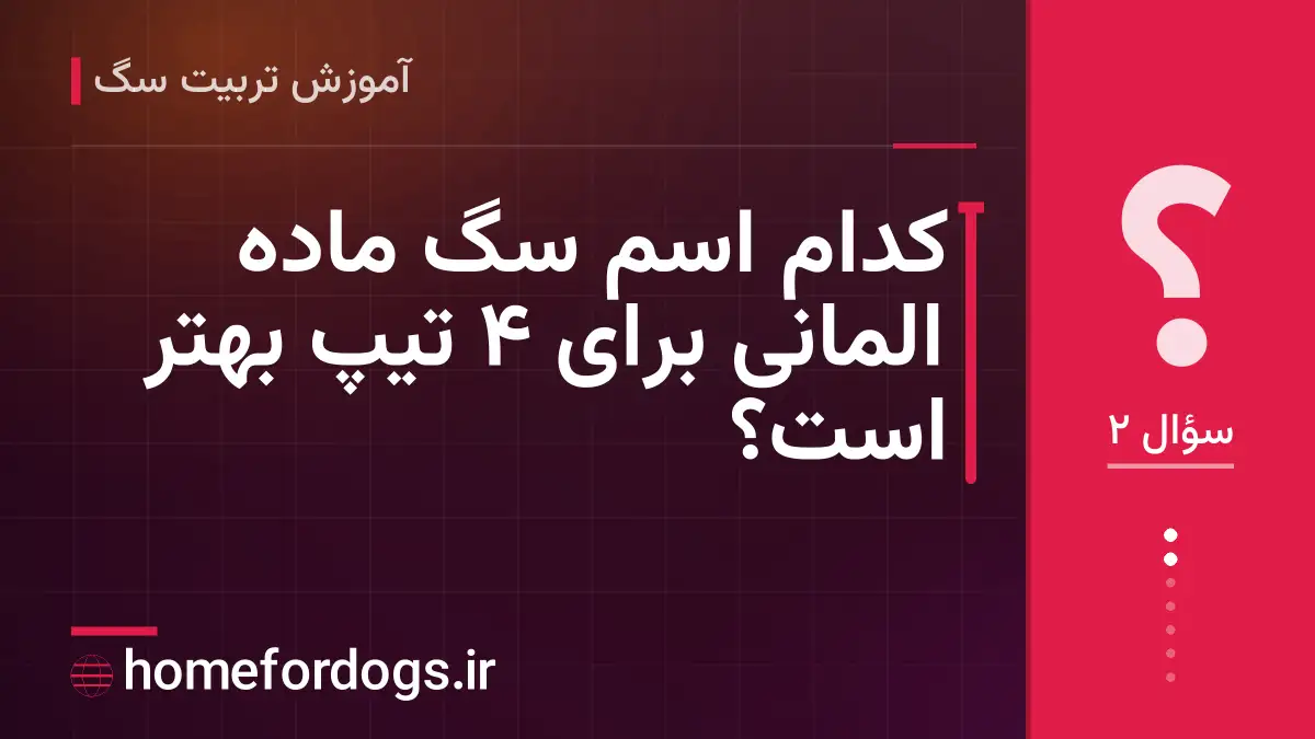 کدام اسم سگ ماده المانی برای ۴ تیپ بهتر است؟