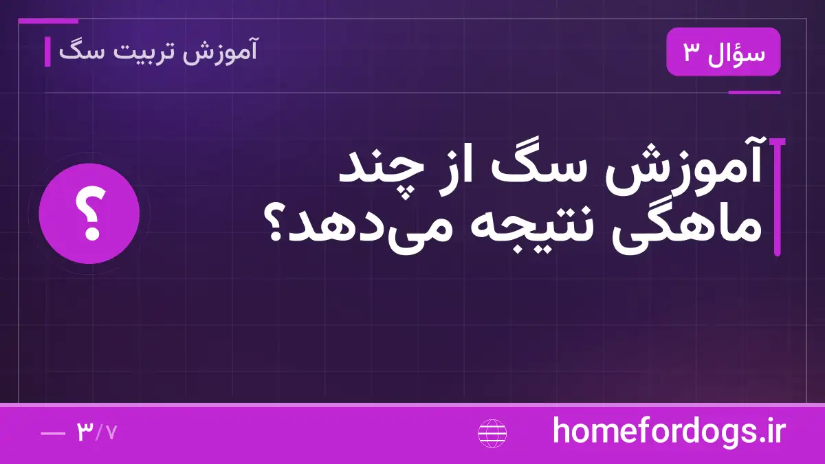 آموزش سگ از چند ماهگی نتیجه میدهد؟