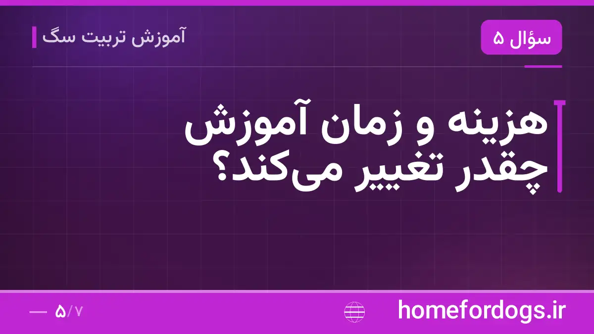 هزینه و زمان آموزش چقدر تغییر میکند؟