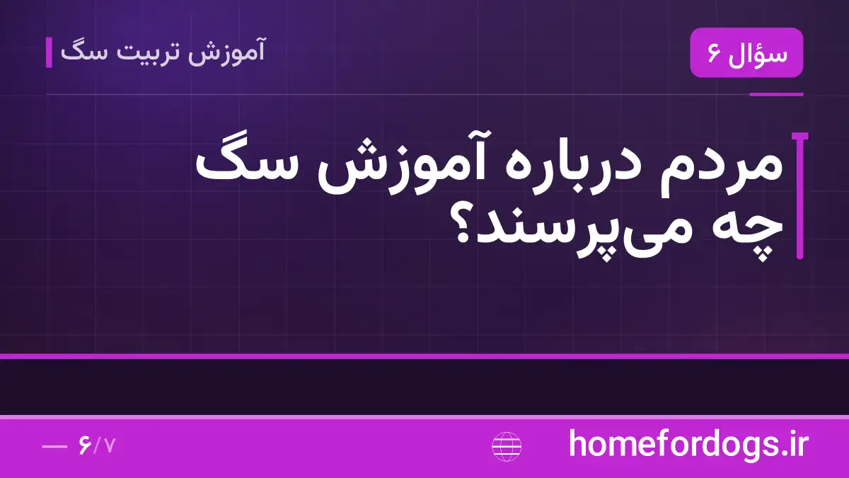 مردم درباره آموزش سگ چه میپرسند؟