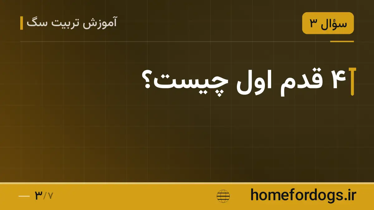 ۴ قدم اول چیست؟