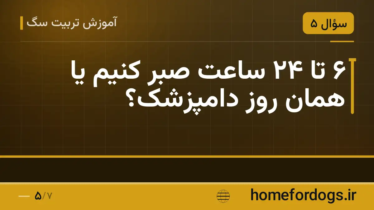 ۶ تا ۲۴ ساعت صبر کنیم یا همان روز دامپزشک؟