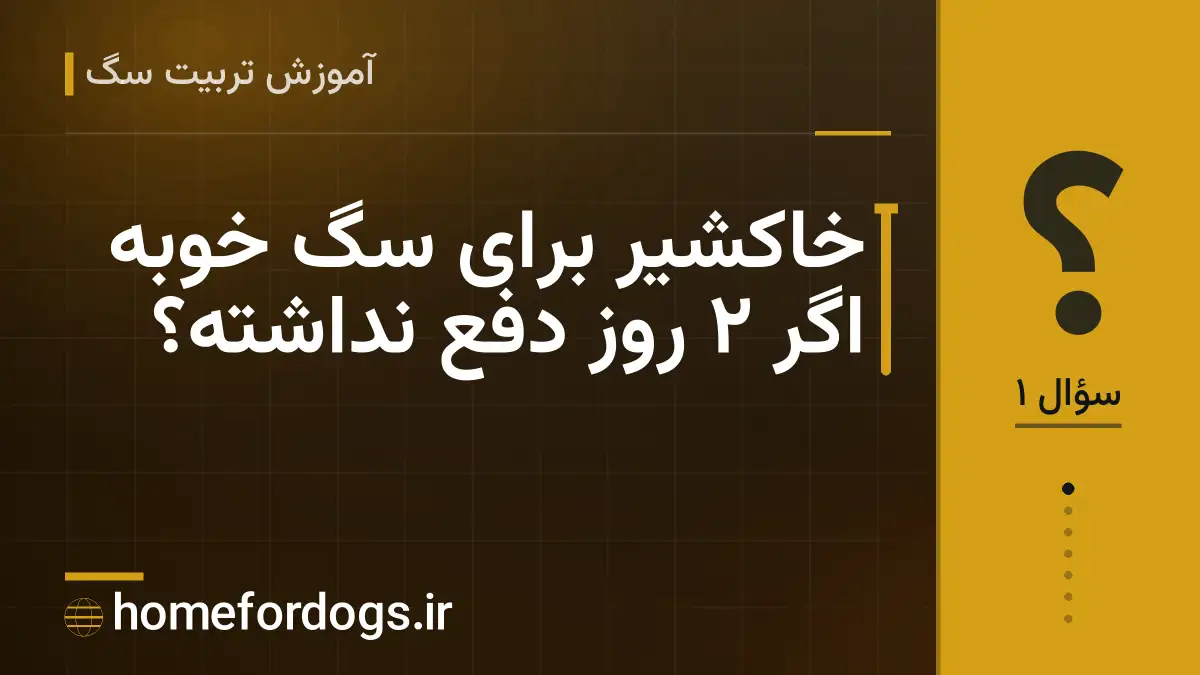 خاکشیر برای سگ خوبه اگر ۲ روز دفع نداشته؟