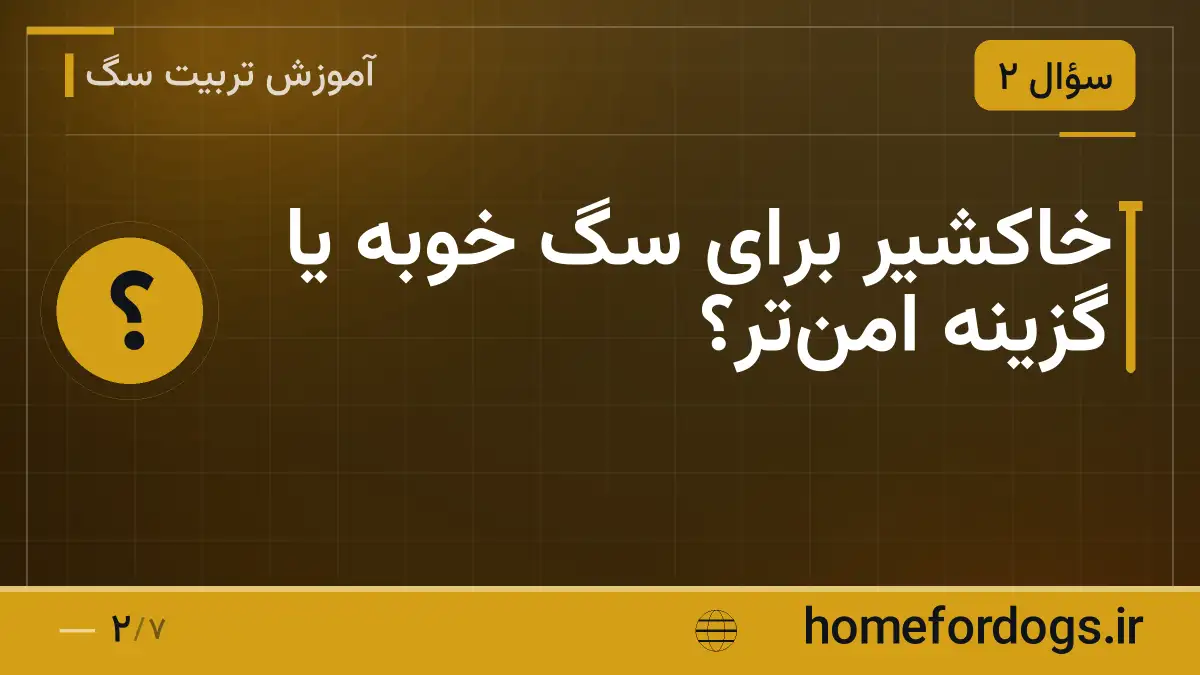 خاکشیر برای سگ خوبه یا گزینه امن‌تر؟