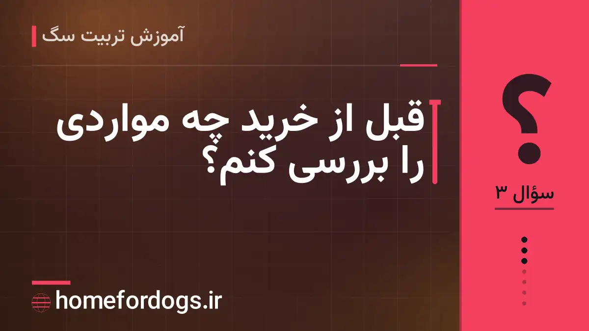 قبل از خرید چه مواردی را بررسی کنم؟