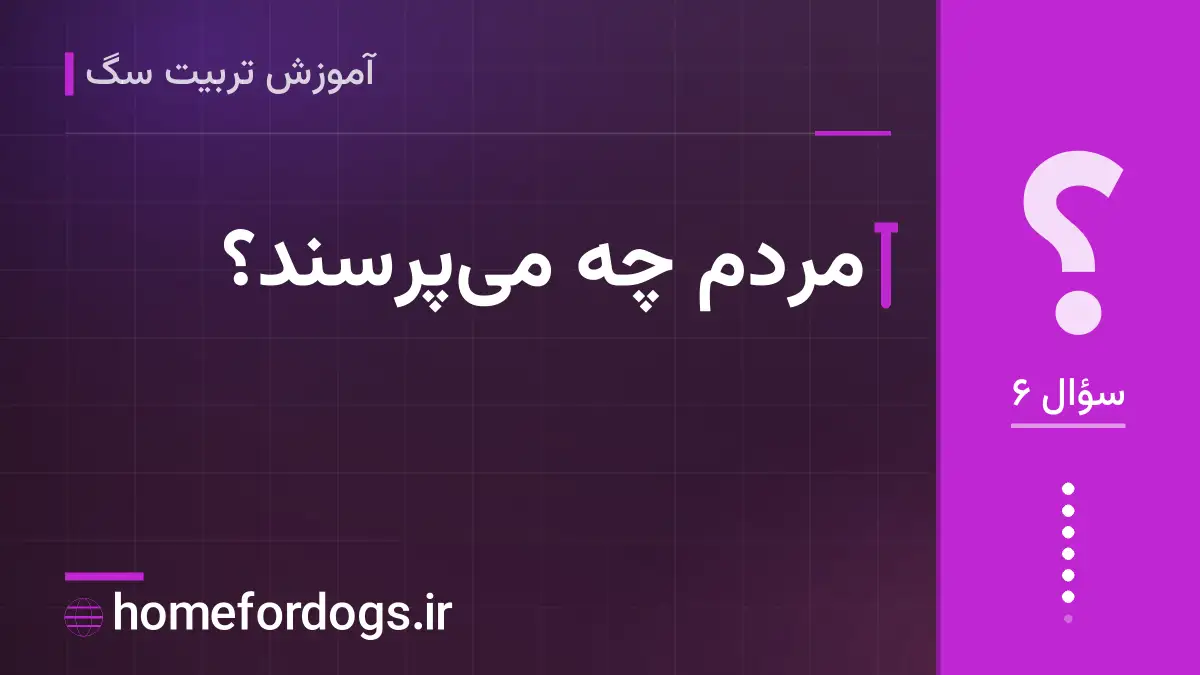مردم چه می‌پرسند؟