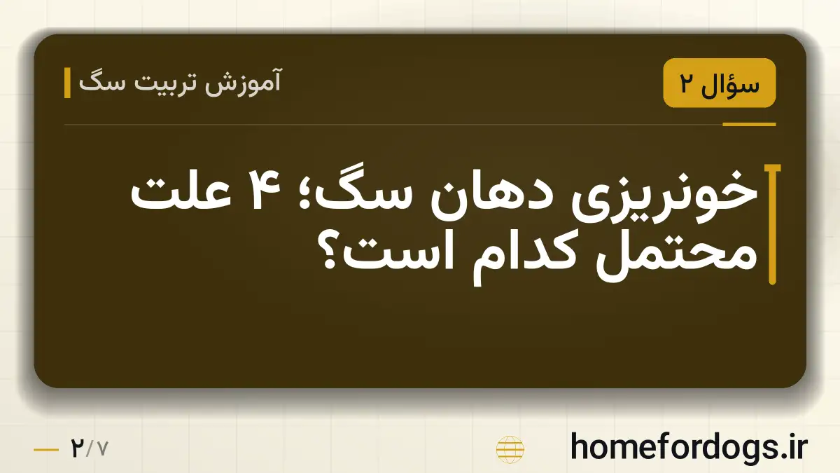 خونریزی دهان سگ؛ ۴ علت محتمل کدام است؟