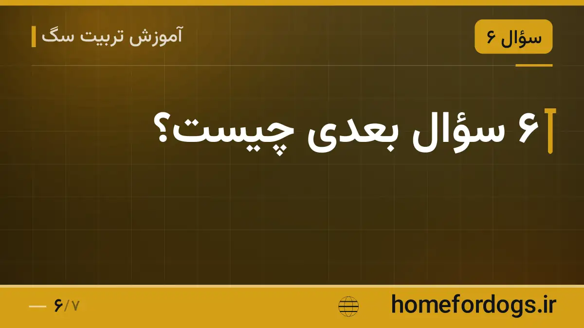 ۶ سؤال بعدی چیست؟