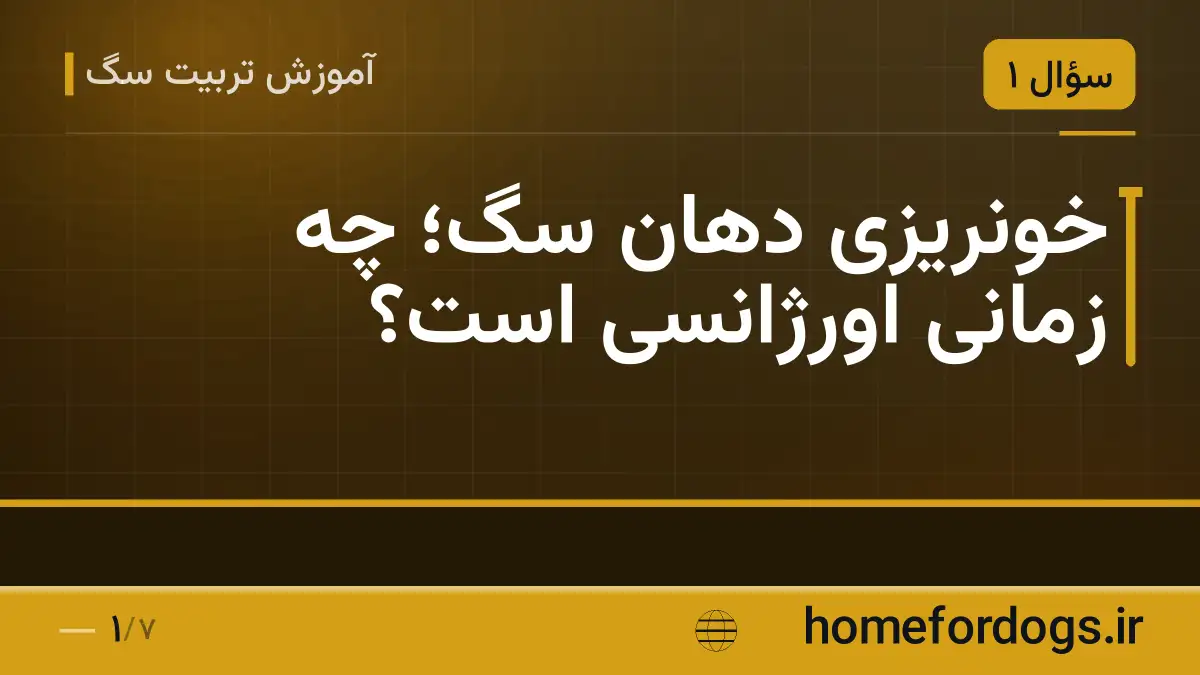 خونریزی دهان سگ؛ چه زمانی اورژانسی است؟