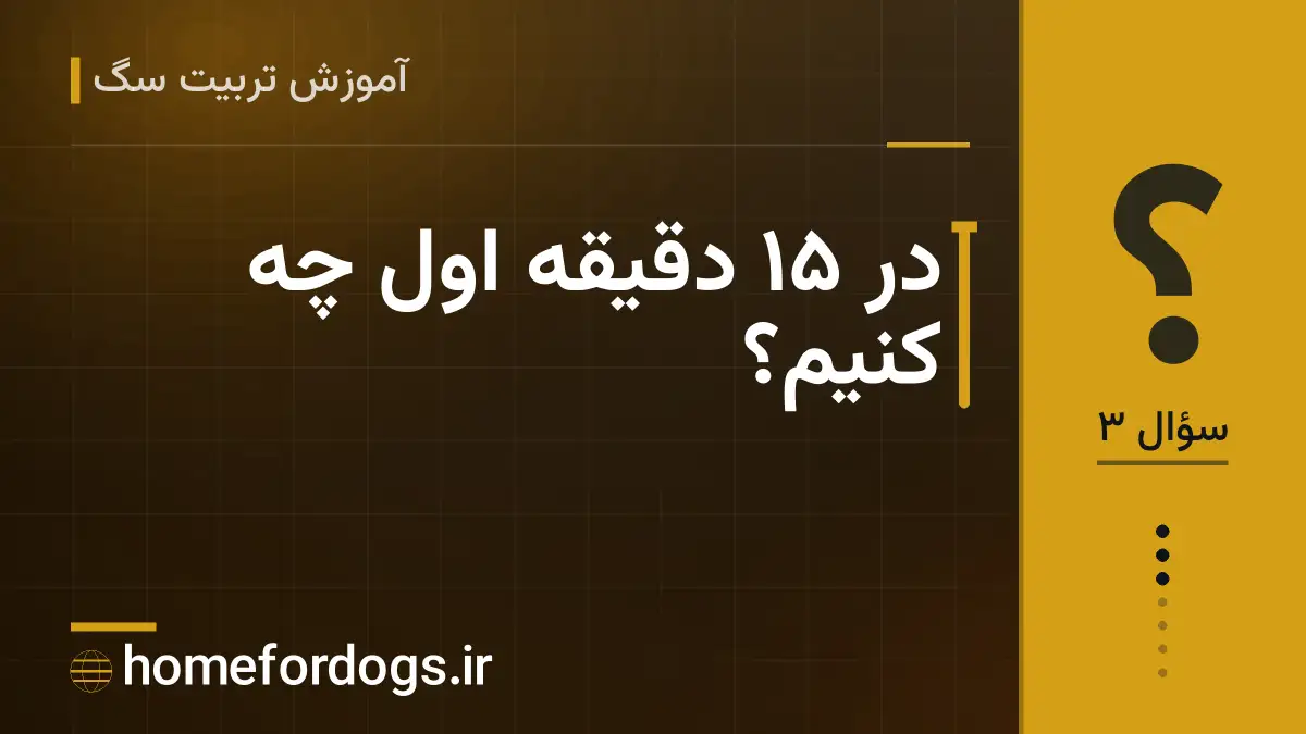 در ۱۵ دقیقهٔ اول چه کنیم؟
