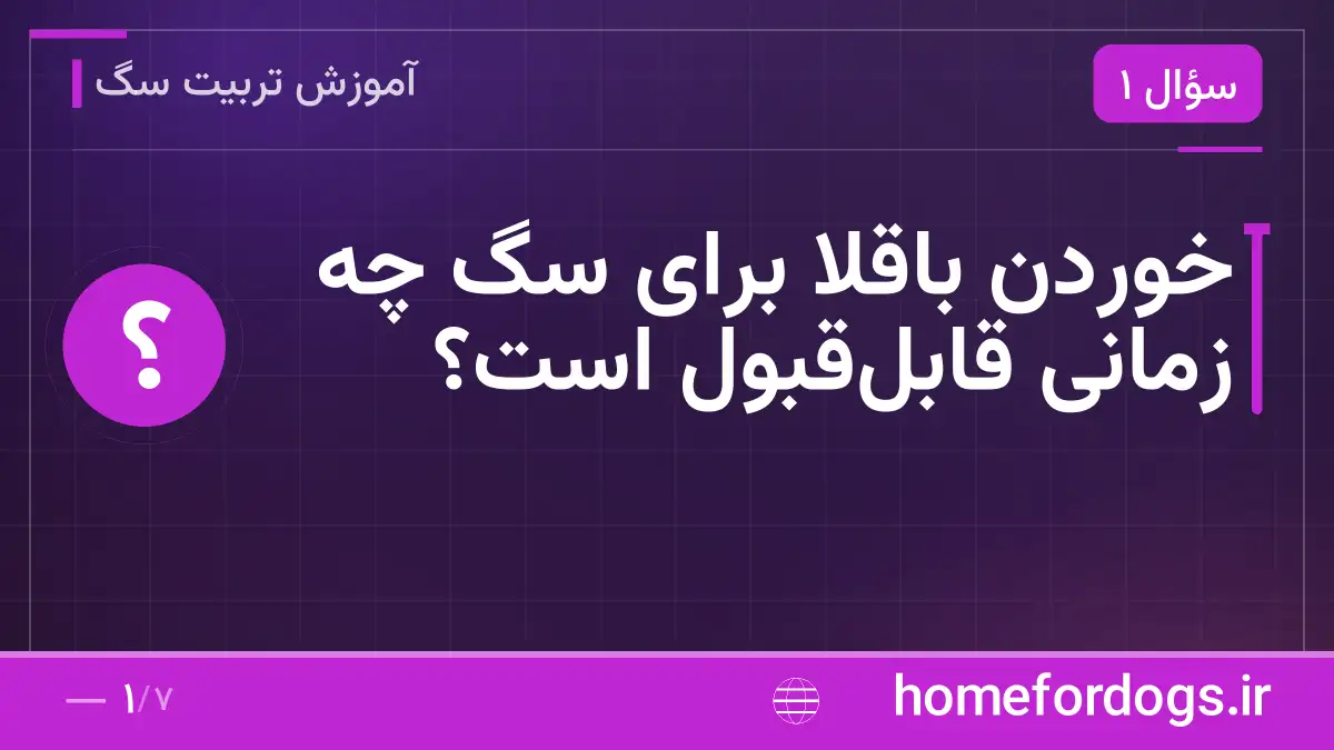 خوردن باقلا برای سگ چه زمانی قابلقبول است؟