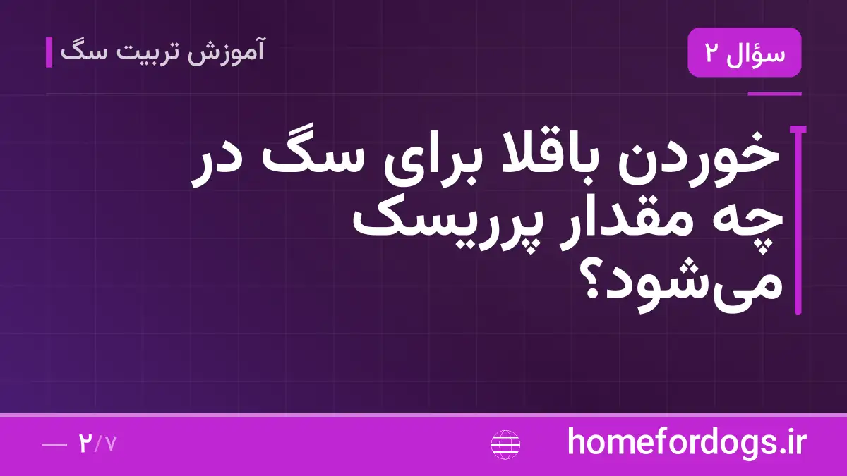 خوردن باقلا برای سگ در چه مقدار پرریسک میشود؟