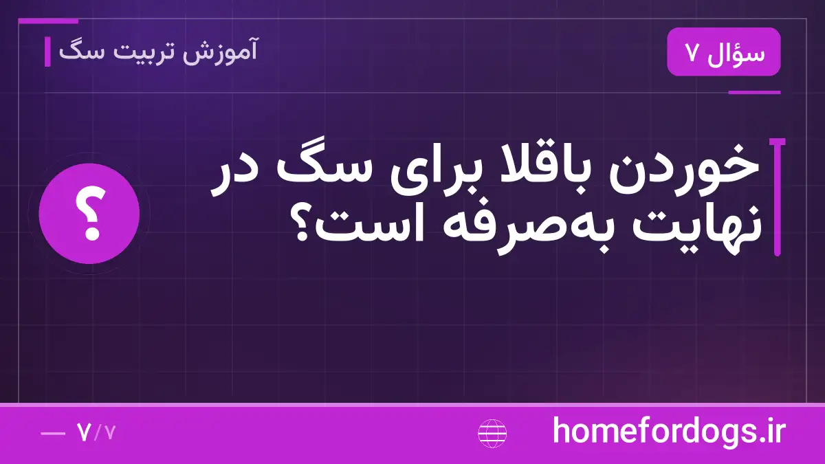 خوردن باقلا برای سگ در نهایت بهصرفه است؟