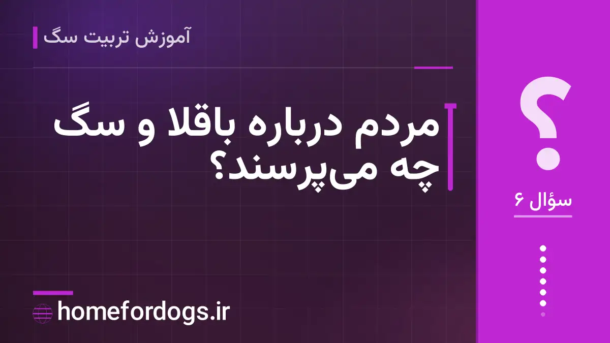 مردم دربارهٔ باقلا و سگ چه میپرسند؟