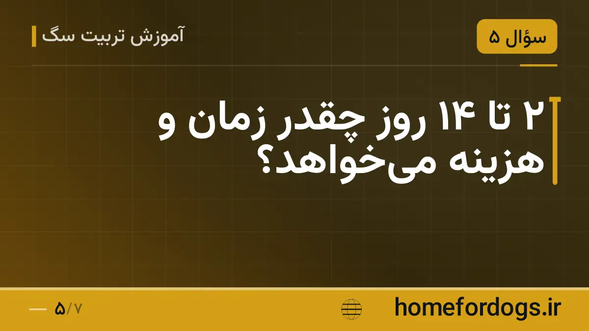 ۲ تا ۱۴ روز چقدر زمان و هزینه می‌خواهد؟