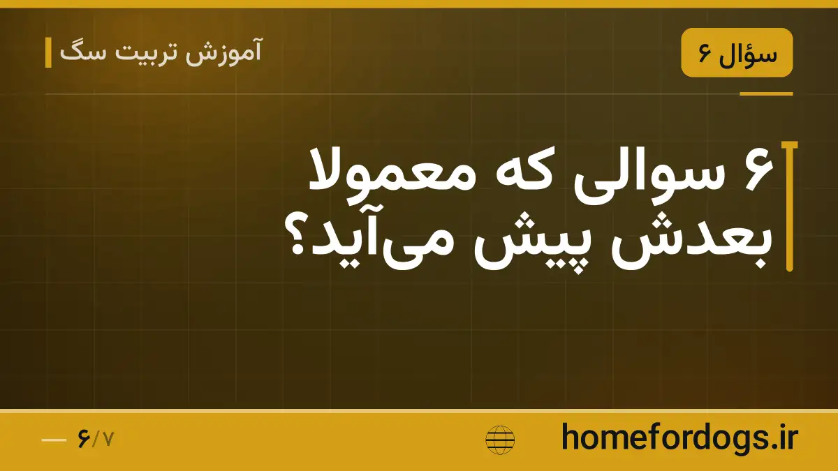 ۶ سوالی که معمولاً بعدش پیش می‌آید؟