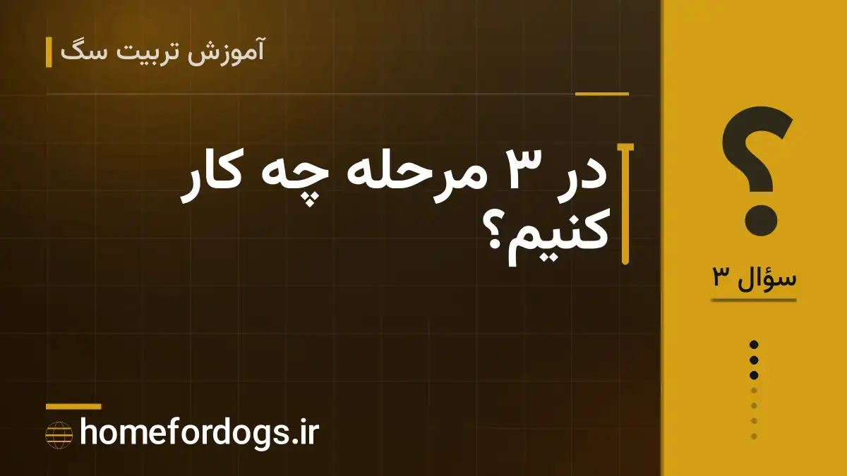 در ۳ مرحله چه کار کنیم؟
