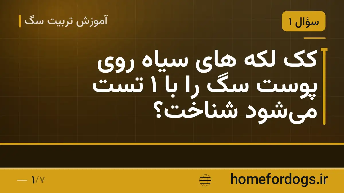 کک لکه های سیاه روی پوست سگ را با ۱ تست می‌شود شناخت؟