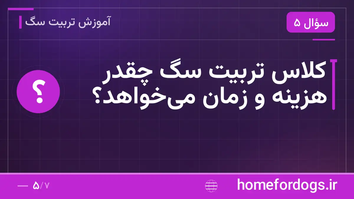 کلاس تربیت سگ چقدر هزینه و زمان می‌خواهد؟