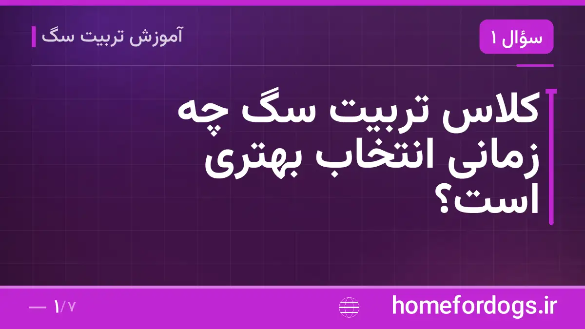 کلاس تربیت سگ چه زمانی انتخاب بهتری است؟