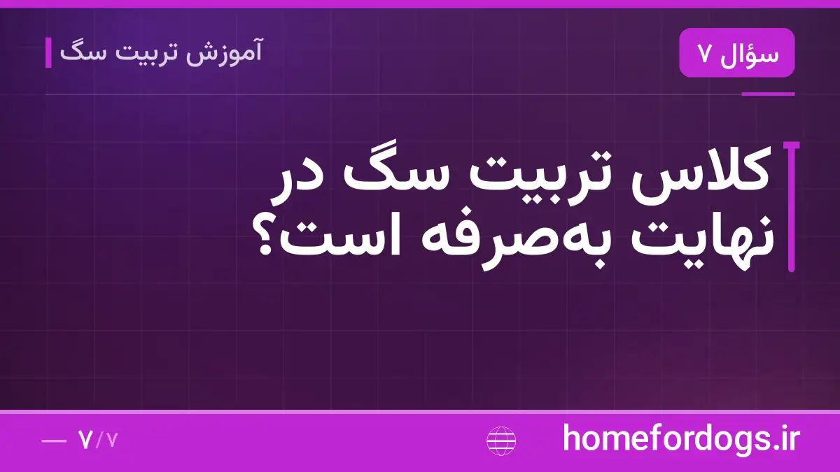 کلاس تربیت سگ در نهایت به‌صرفه است؟