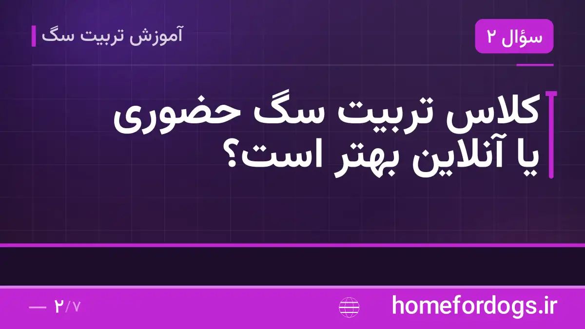 کلاس تربیت سگ حضوری یا آنلاین بهتر است؟