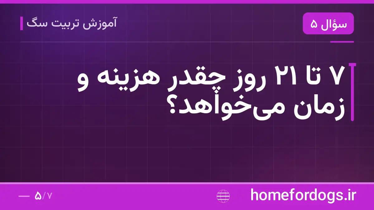۷ تا ۲۱ روز چقدر هزینه و زمان می‌خواهد؟