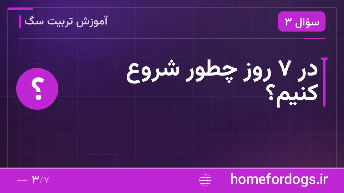در ۷ روز چطور شروع کنیم؟