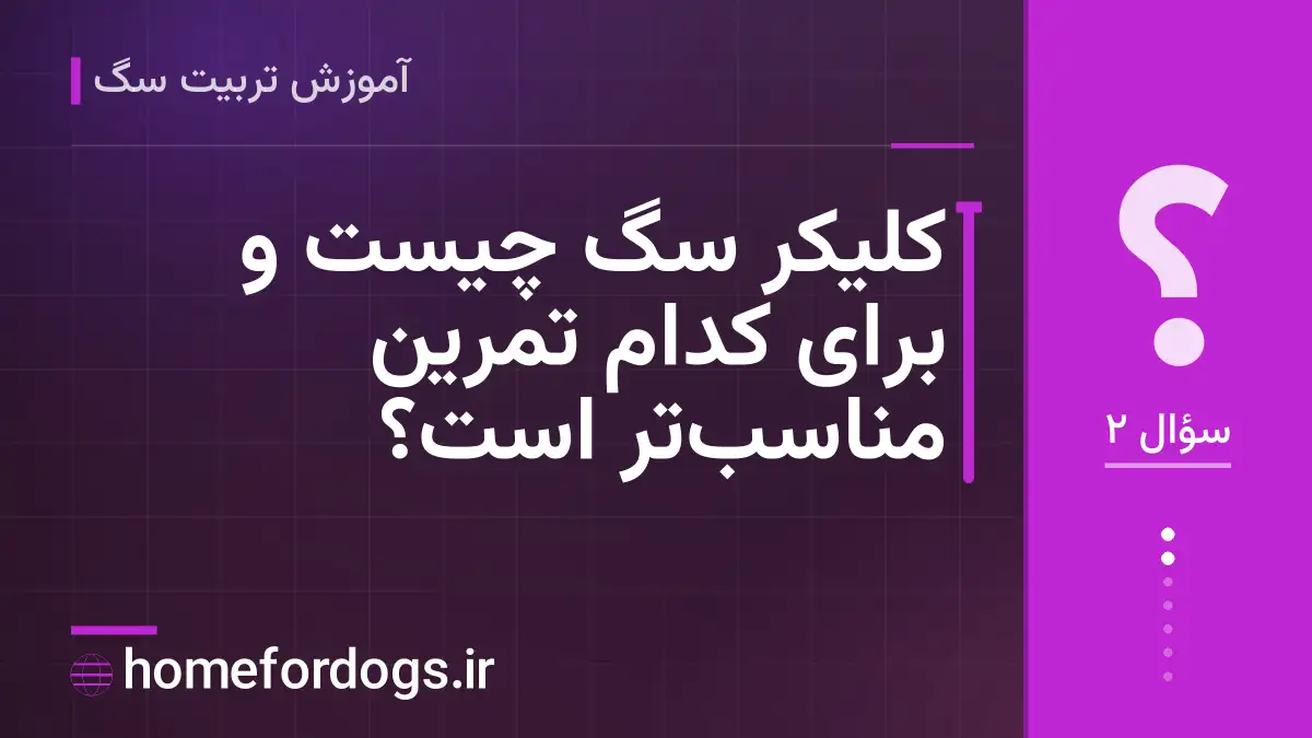 کلیکر سگ چیست و برای کدام تمرین مناسب‌تر است؟
