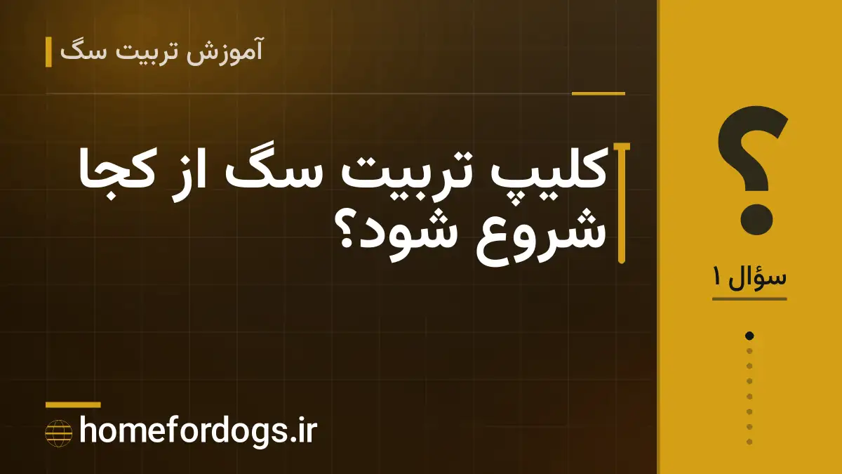 کلیپ تربیت سگ از کجا شروع شود؟